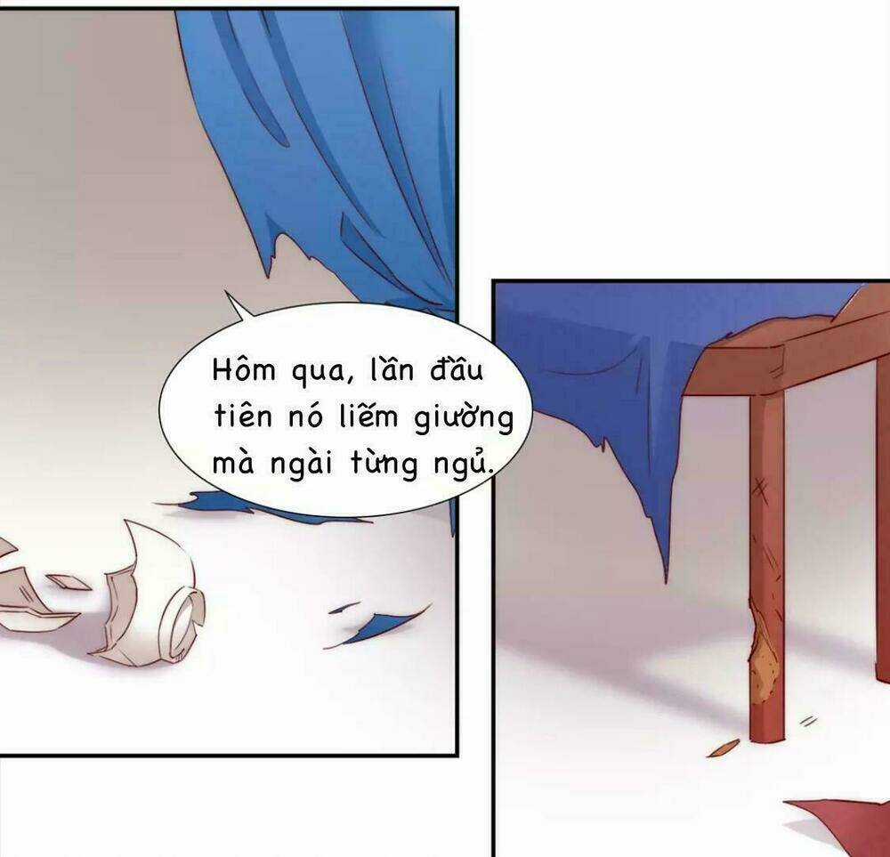 Vương Diệp, Đuôi Của Ngươi Đã Biến Mất Chapter 8 trang 24