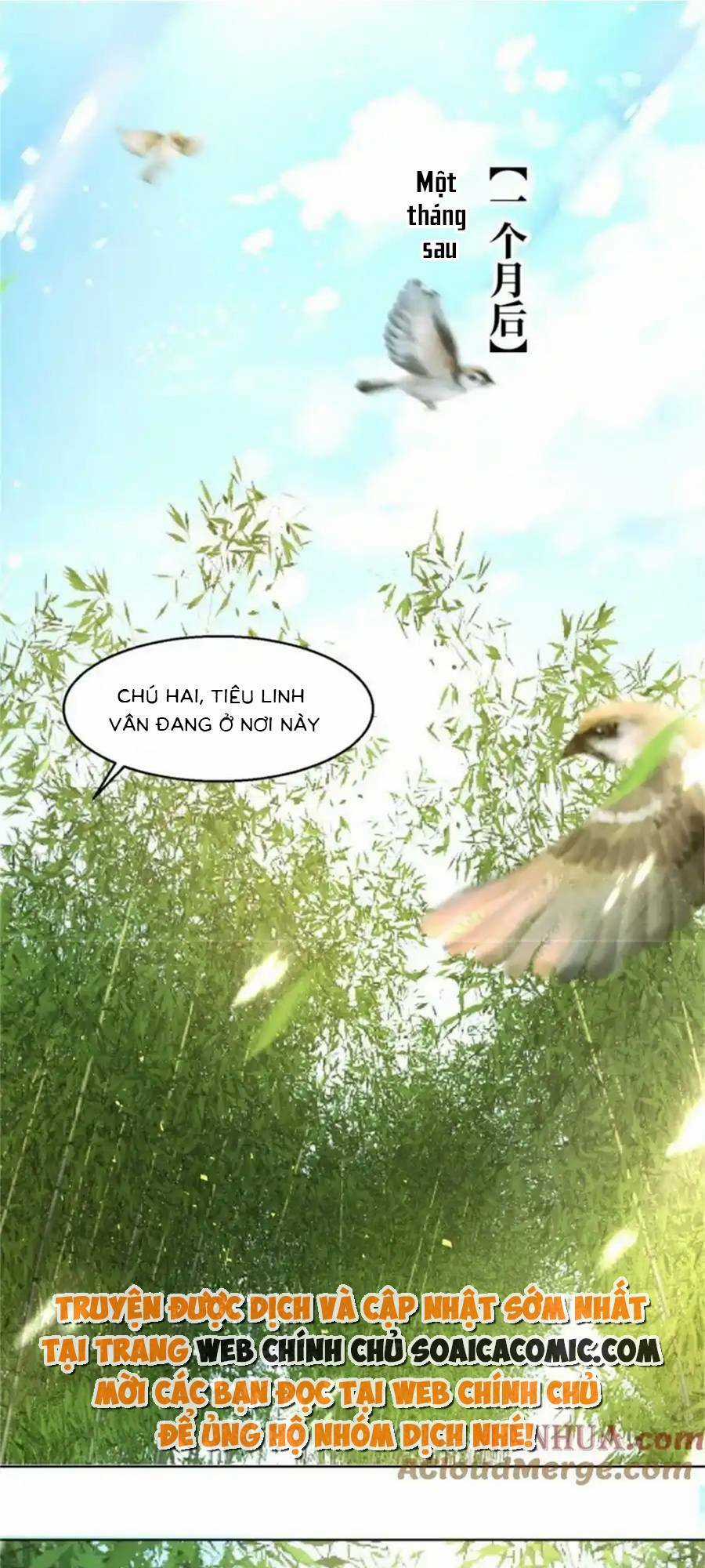 Vương Gia Khắc Thê Chapter 222 trang 14