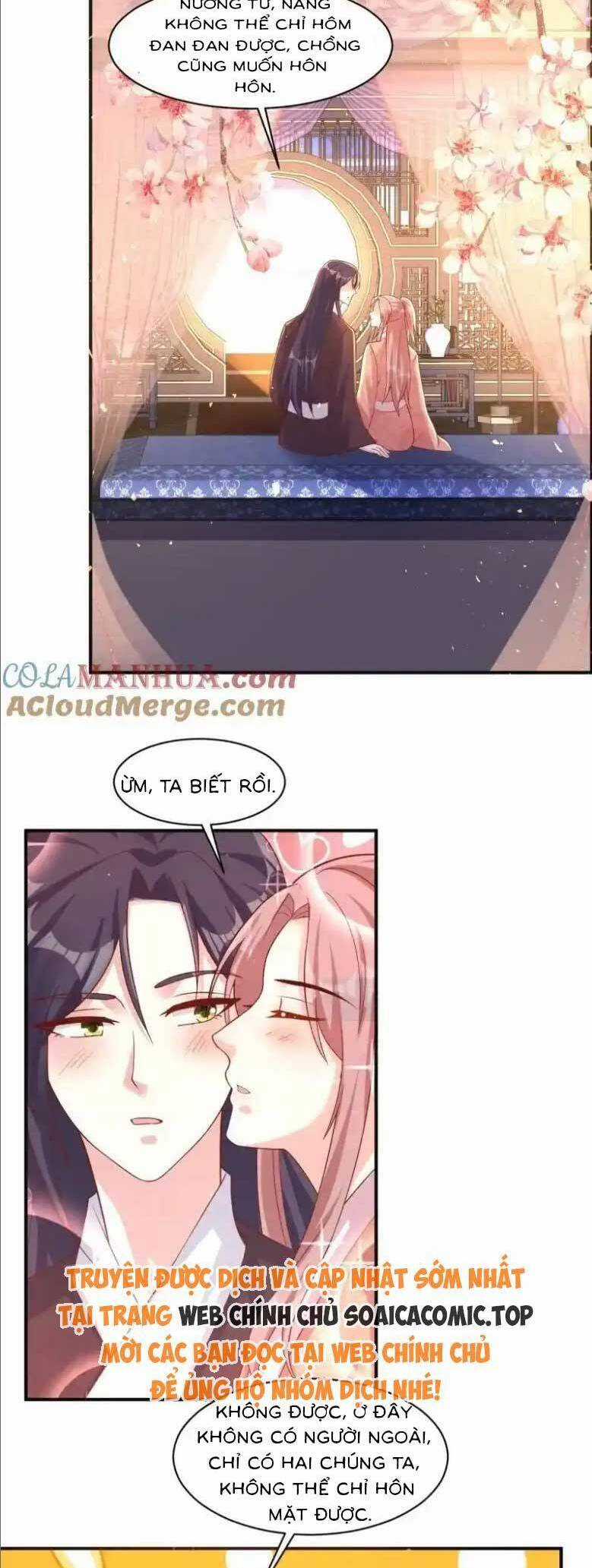 Vương Gia Khắc Thê Chapter 247 trang 17