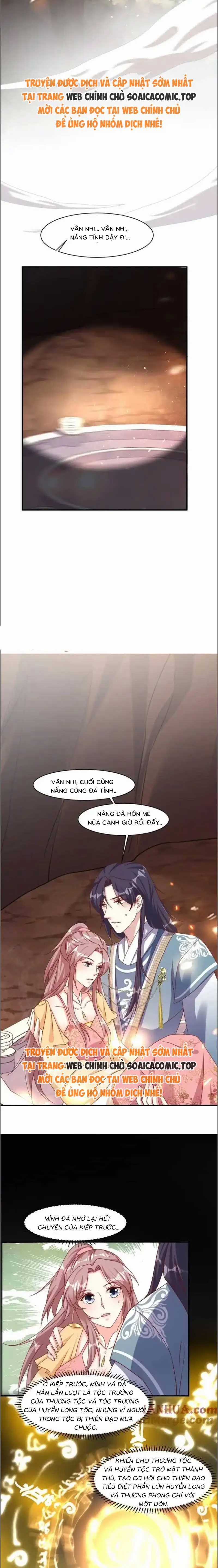 Vương Gia Khắc Thê Chapter 253 trang 3