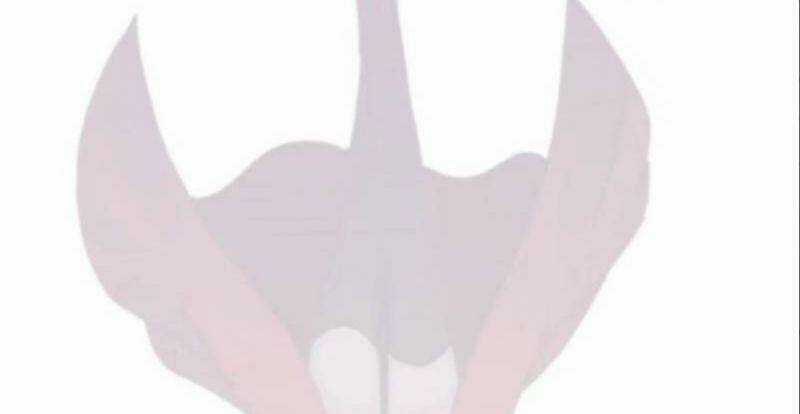 Vương Gia Kiêu Ngạo Quá Khó Cua Chapter 1 trang 57