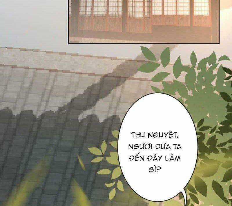 Vương Gia Kiêu Ngạo Quá Khó Cua Chapter 33 trang 4