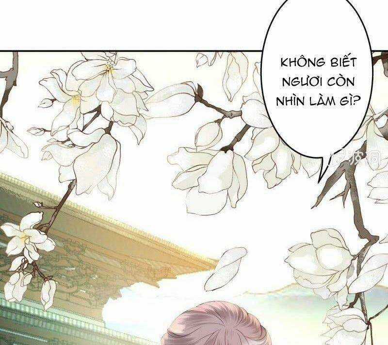 Vương Gia Kiêu Ngạo Quá Khó Cua Chapter 39 trang 5