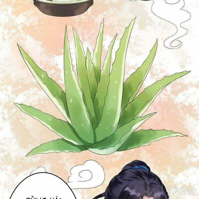 Vương Gia Kiêu Ngạo Quá Khó Cua Chapter 62 trang 4