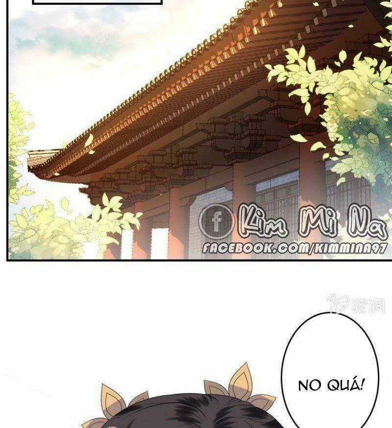 Vương Gia Kiêu Ngạo Quá Khó Cua Chapter 66 trang 3