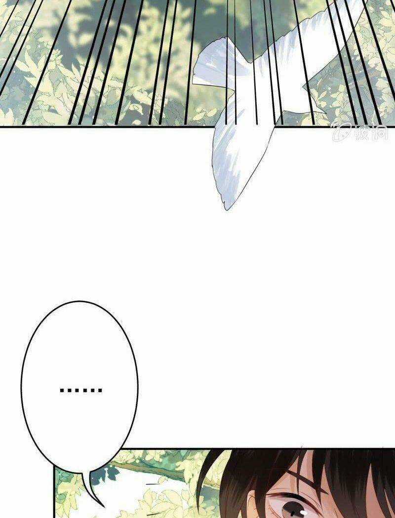 Vương Gia Kiêu Ngạo Quá Khó Cua Chapter 66 trang 47