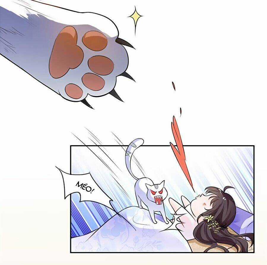 Vương Gia Là Đầu Đại Lão Hổ Chapter 3 trang 12