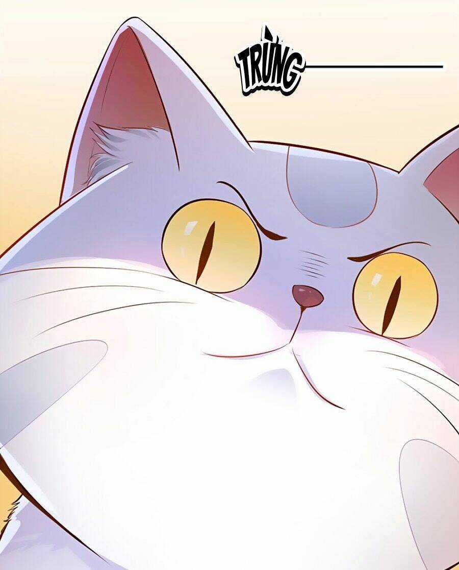 Vương Gia Là Đầu Đại Lão Hổ Chapter 3 trang 13