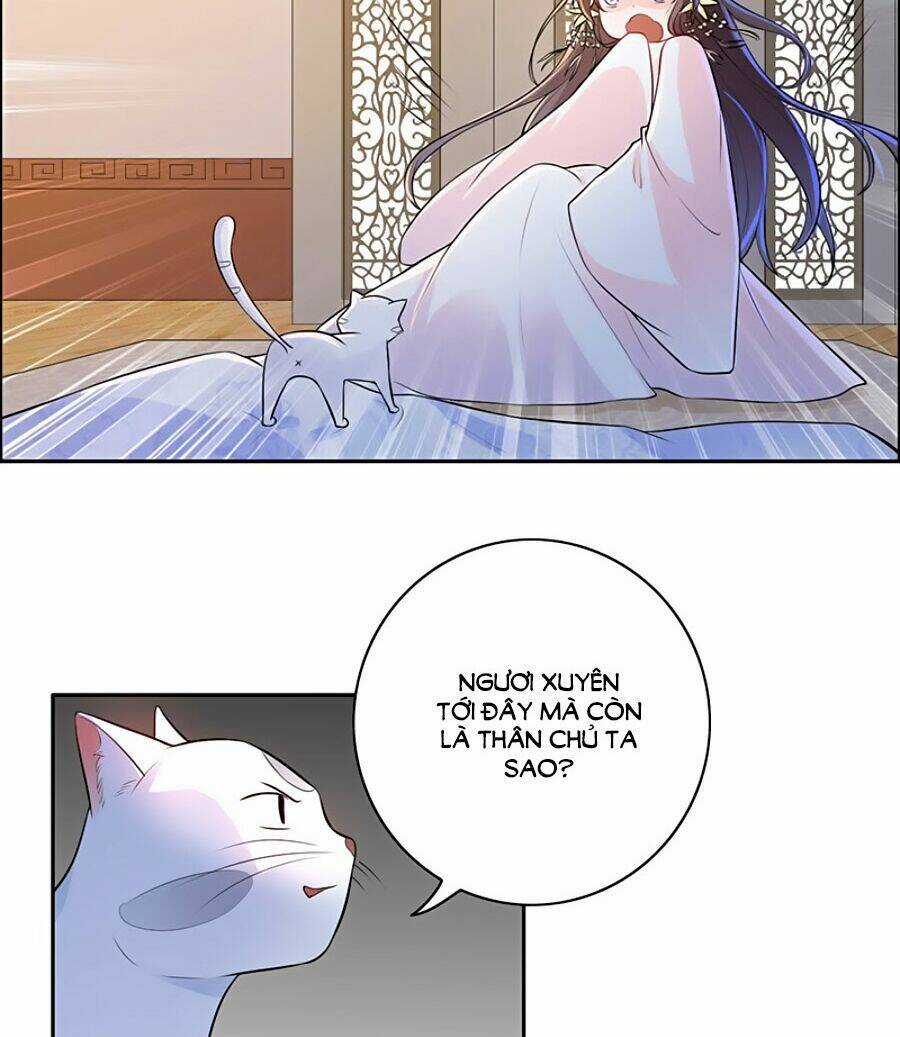 Vương Gia Là Đầu Đại Lão Hổ Chapter 3 trang 15