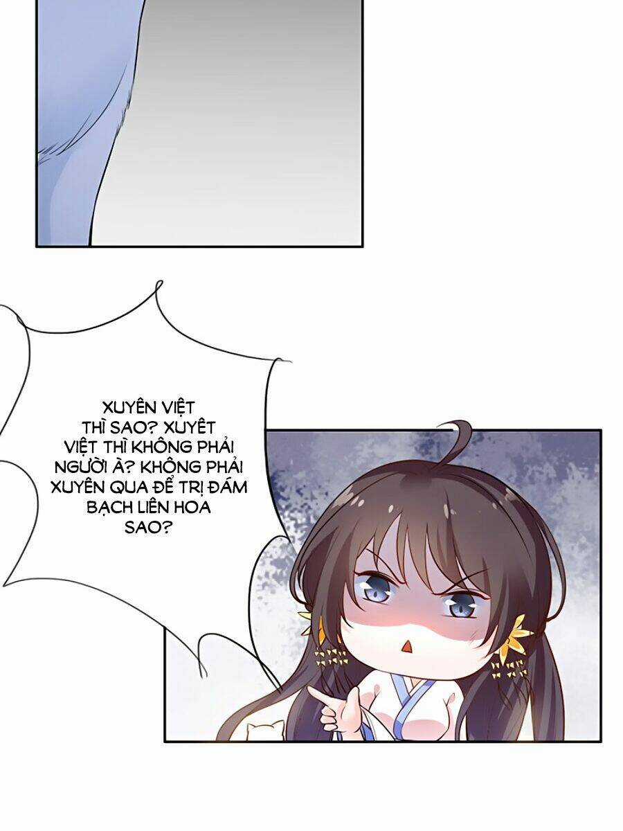 Vương Gia Là Đầu Đại Lão Hổ Chapter 3 trang 16