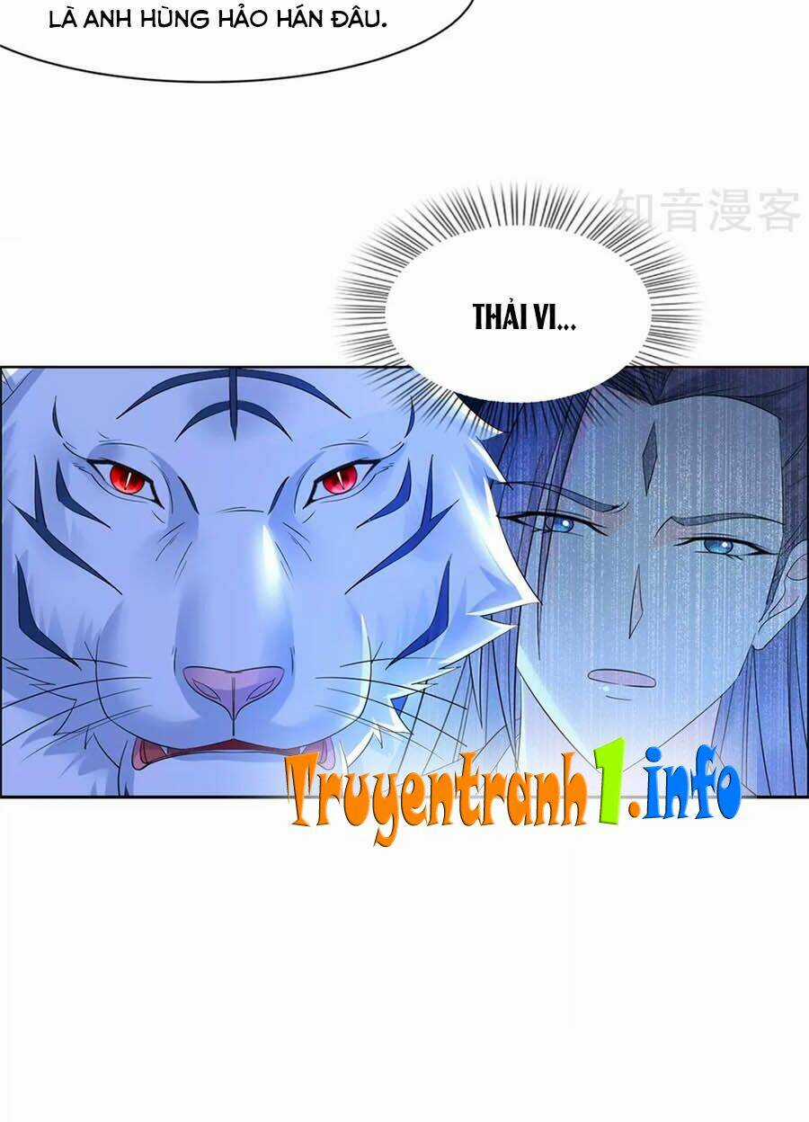 Vương Gia Là Đầu Đại Lão Hổ Chapter 96 trang 13