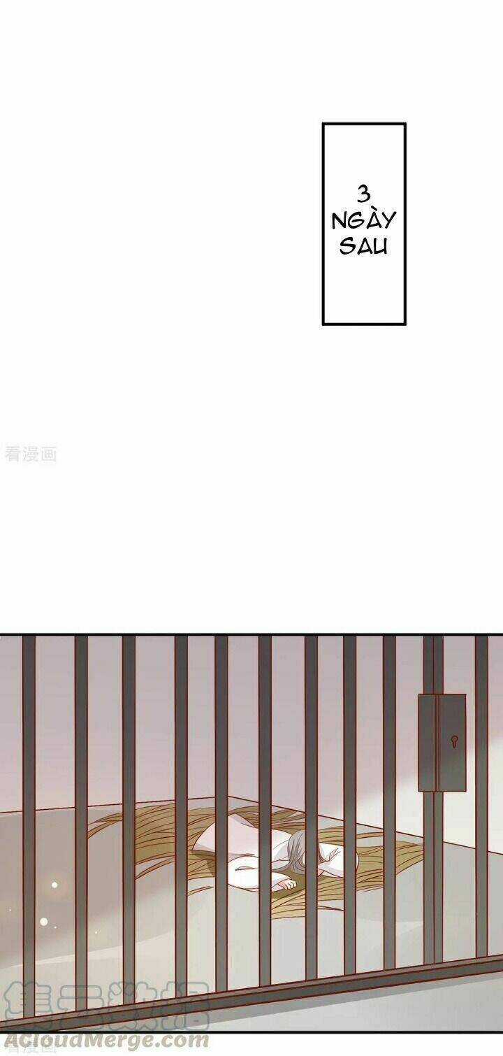 Vương Gia Người Ta Sẽ Giảm Béo Mà!!! Chapter 126 trang 24