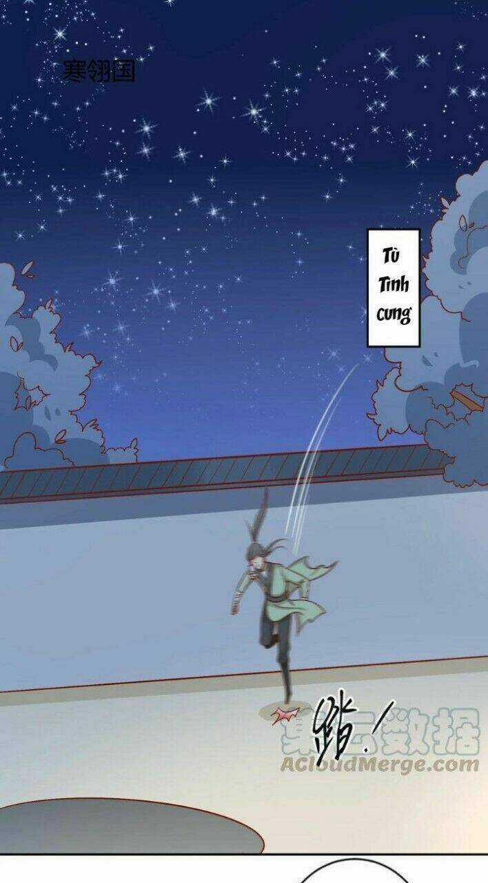 Vương Gia Người Ta Sẽ Giảm Béo Mà!!! Chapter 128 trang 16