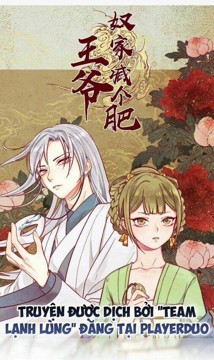 Vương Gia Người Ta Sẽ Giảm Béo Mà!!! Chapter 135 trang 1