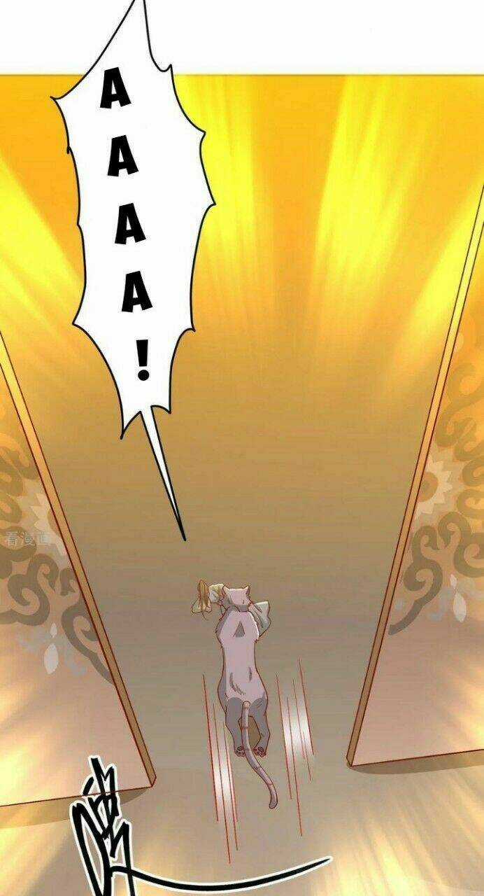 Vương Gia Người Ta Sẽ Giảm Béo Mà!!! Chapter 136 trang 33