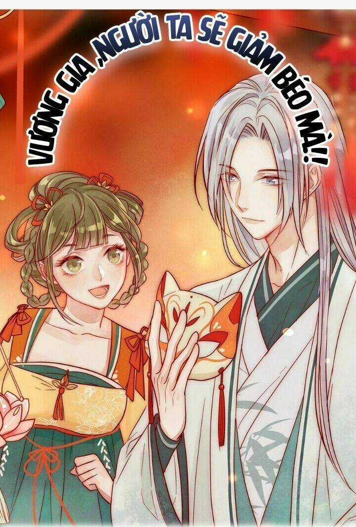 Vương Gia Người Ta Sẽ Giảm Béo Mà!!! Chapter 146 trang 1