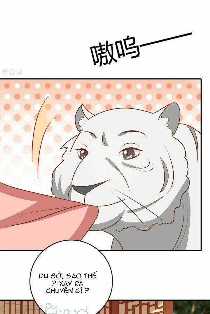 Vương Gia Người Ta Sẽ Giảm Béo Mà!!! Chapter 148 trang 29