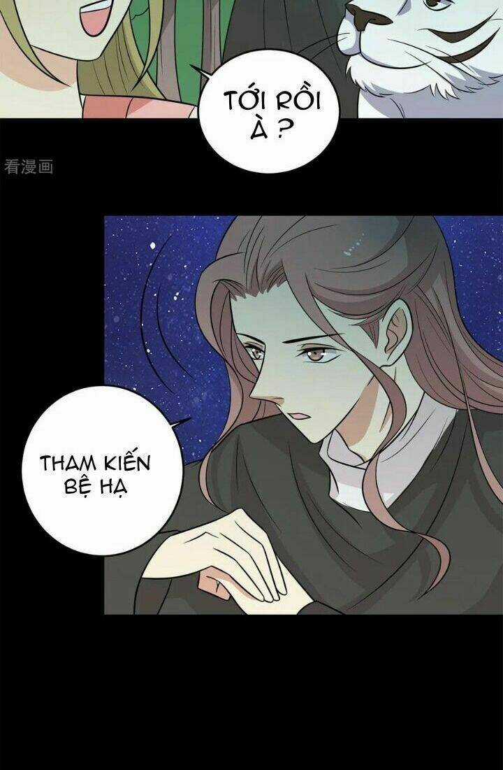 Vương Gia Người Ta Sẽ Giảm Béo Mà!!! Chapter 149 trang 12