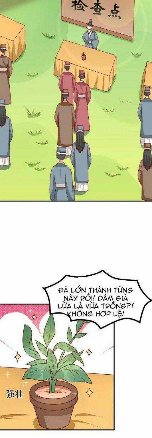 Vương Gia Người Ta Sẽ Giảm Béo Mà!!! Chapter 168 trang 11