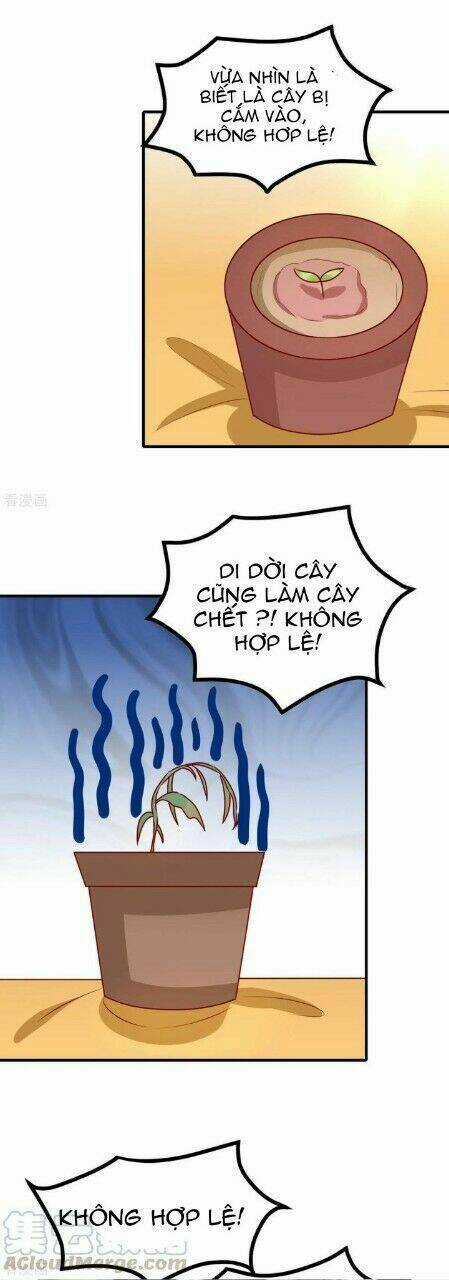 Vương Gia Người Ta Sẽ Giảm Béo Mà!!! Chapter 168 trang 12