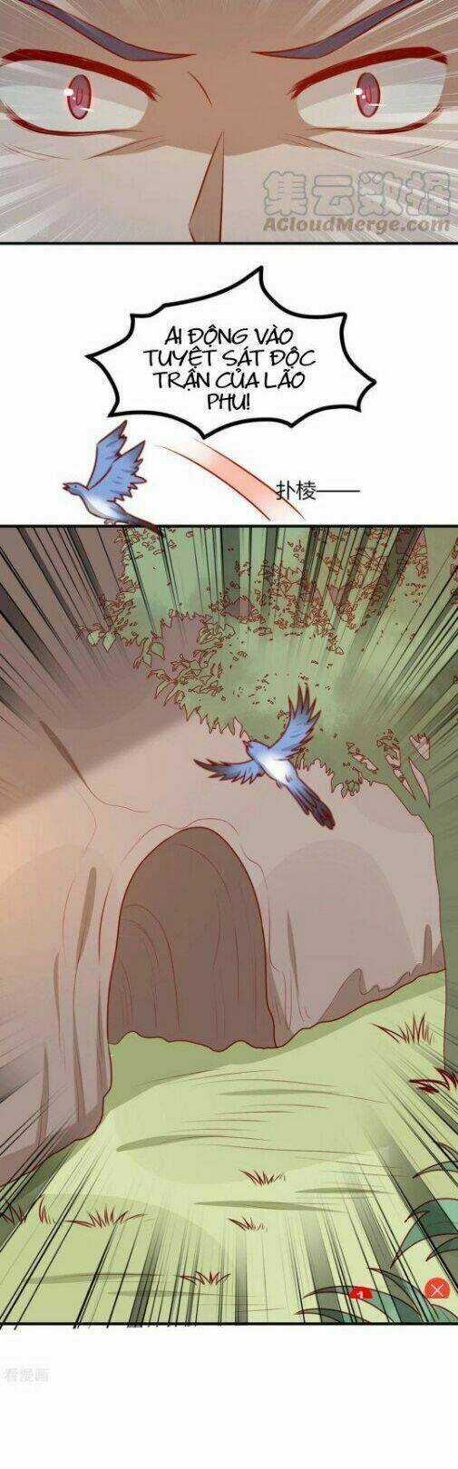 Vương Gia Người Ta Sẽ Giảm Béo Mà!!! Chapter 174 trang 12