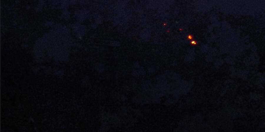 Vương Giả Săn Mồi Chapter 0 trang 20