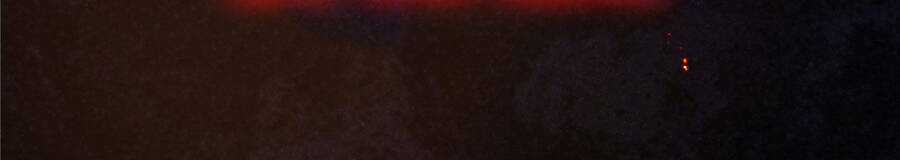 Vương Giả Săn Mồi Chapter 0 trang 8