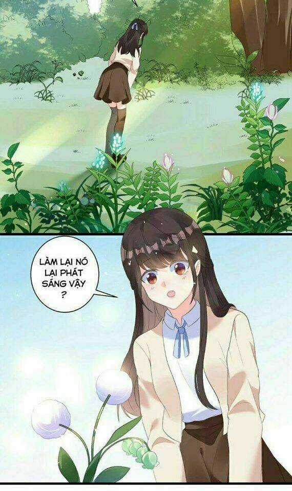 Vương Phi Có Độc! Chapter 1 trang 2