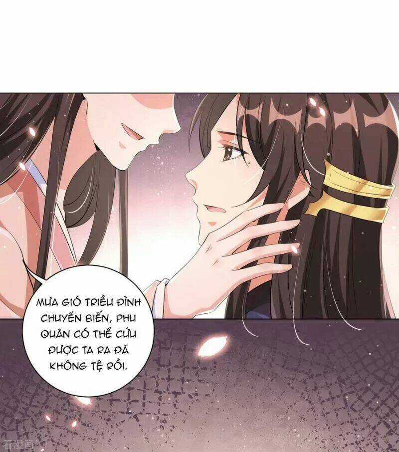 Vương Phi Có Độc! Chapter 117 trang 5