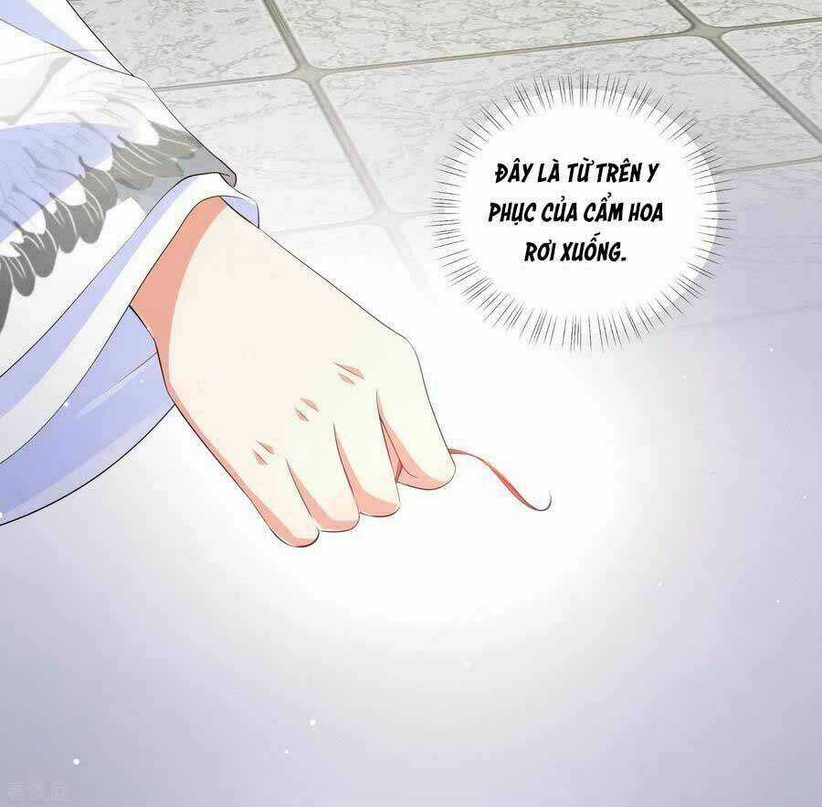 Vương Phi Có Độc! Chapter 129 trang 11