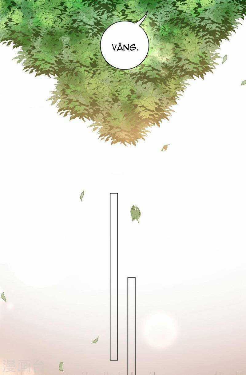 Vương Phi Có Độc! Chapter 20 trang 4