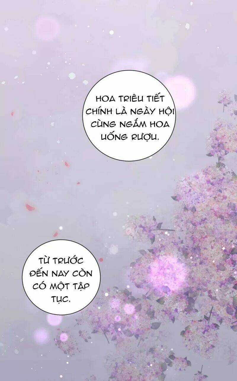 Vương Phi Có Độc! Chapter 52 trang 13