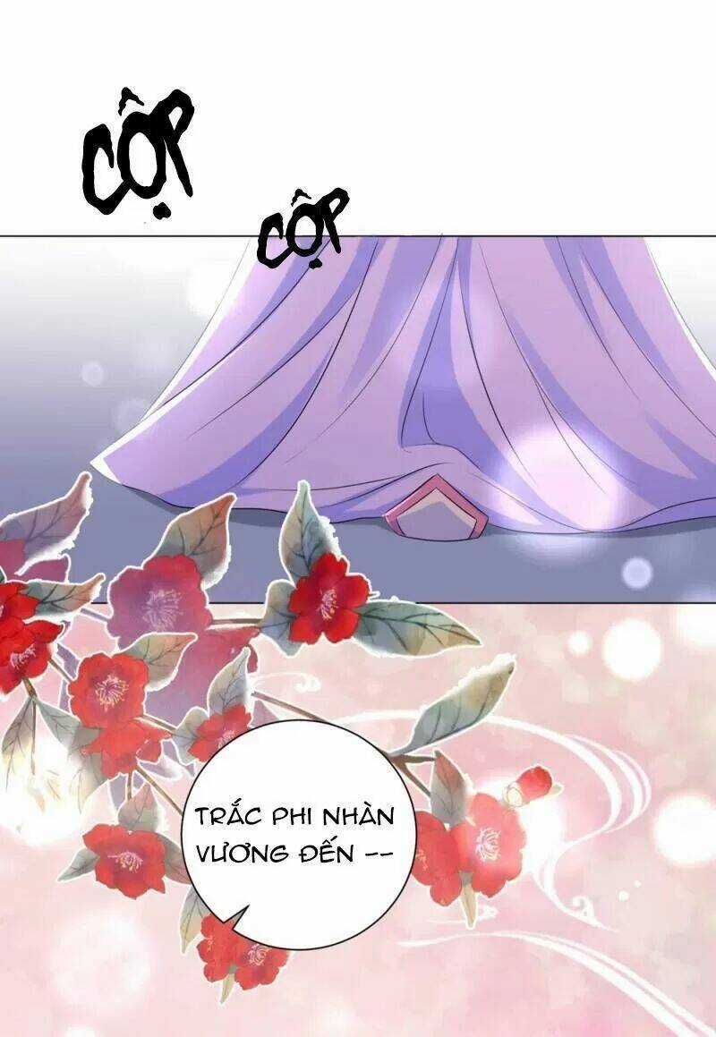 Vương Phi Có Độc! Chapter 52 trang 25