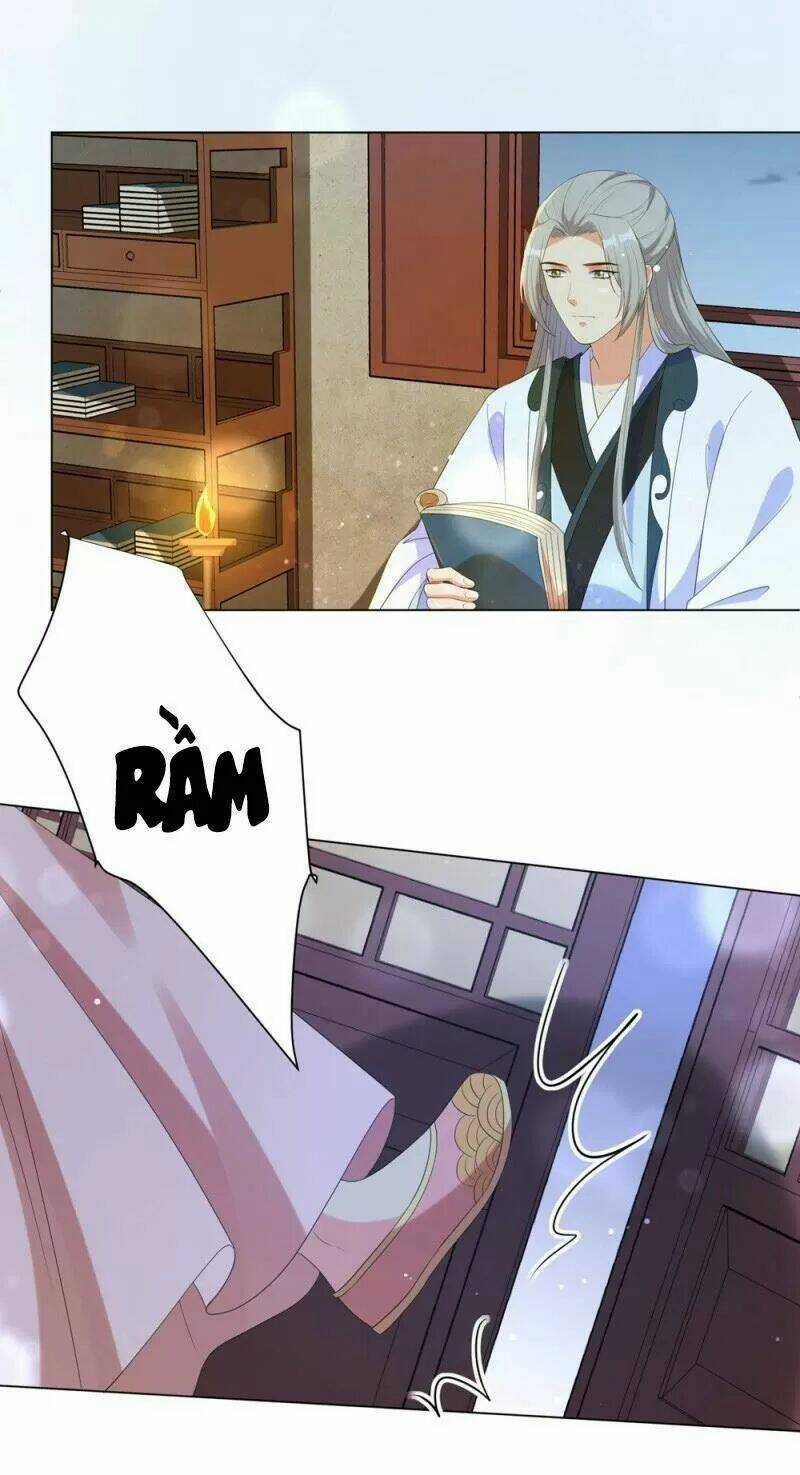 Vương Phi Có Độc! Chapter 66 trang 7