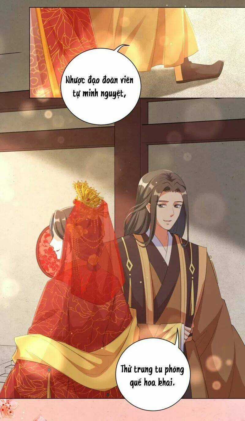 Vương Phi Có Độc! Chapter 80 trang 8