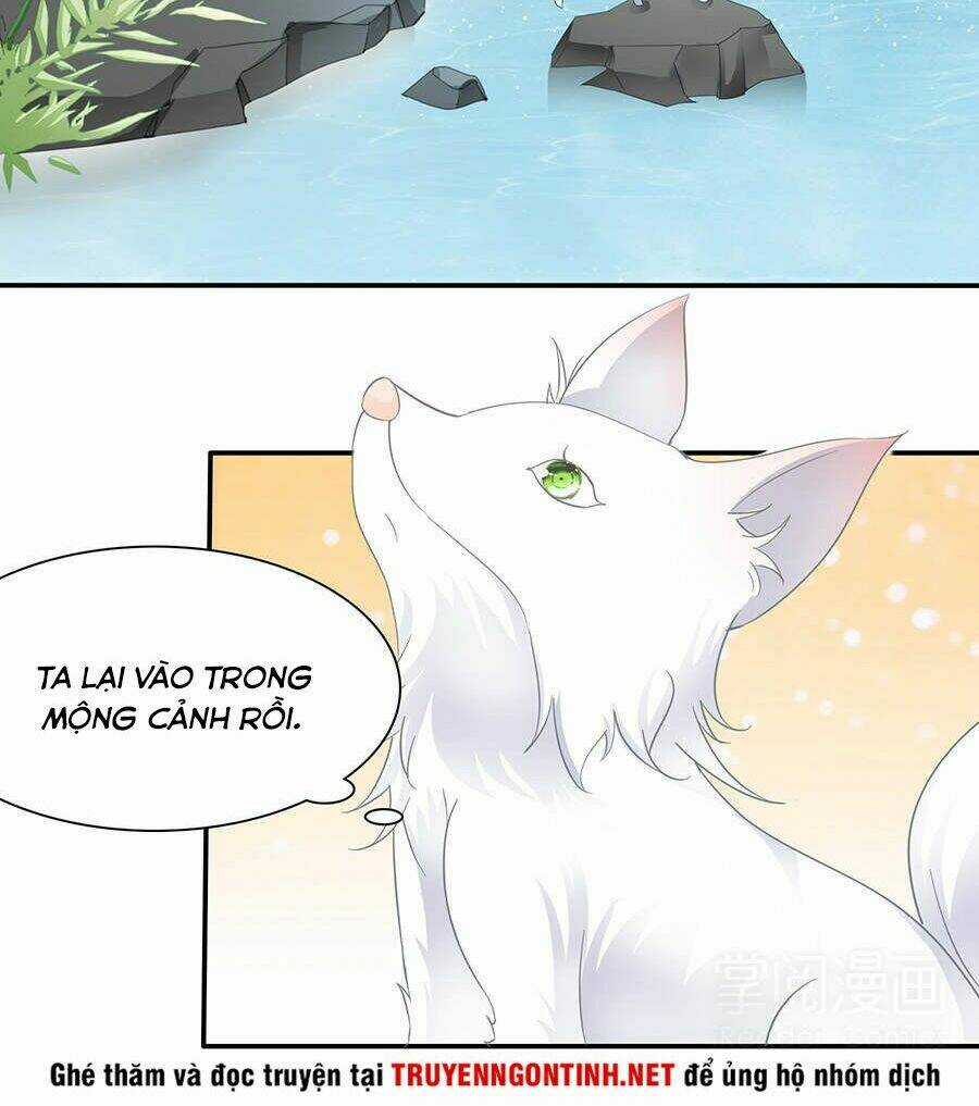 Vương Phi Lại Hạ Độc Rồi Chapter 11 trang 19