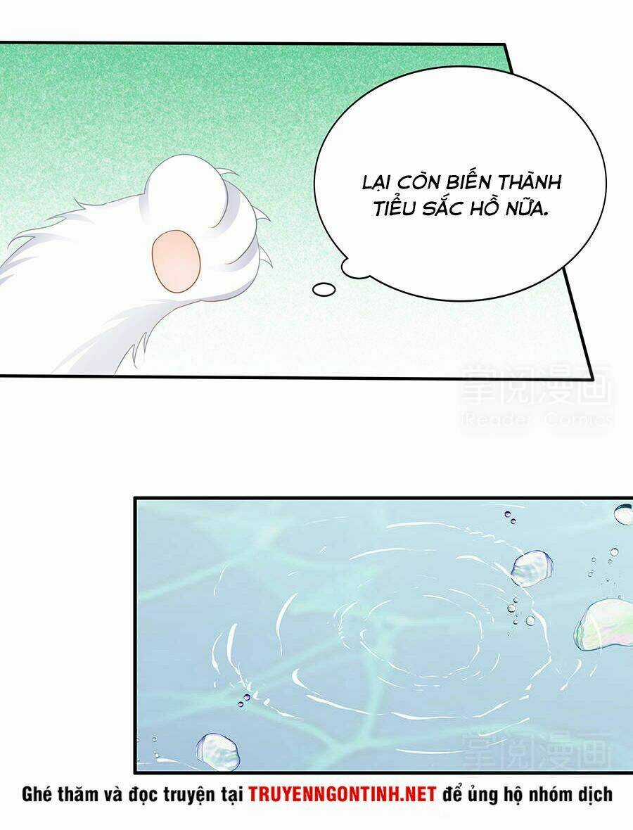 Vương Phi Lại Hạ Độc Rồi Chapter 11 trang 20