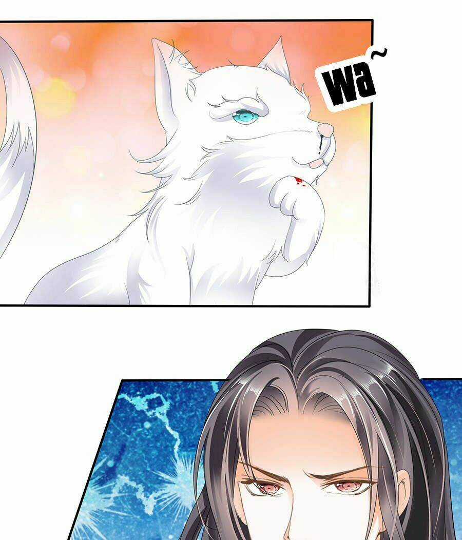 Vương Phi Lại Hạ Độc Rồi Chapter 11 trang 23