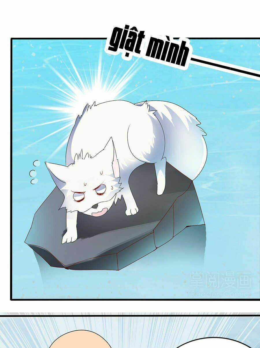 Vương Phi Lại Hạ Độc Rồi Chapter 11 trang 25