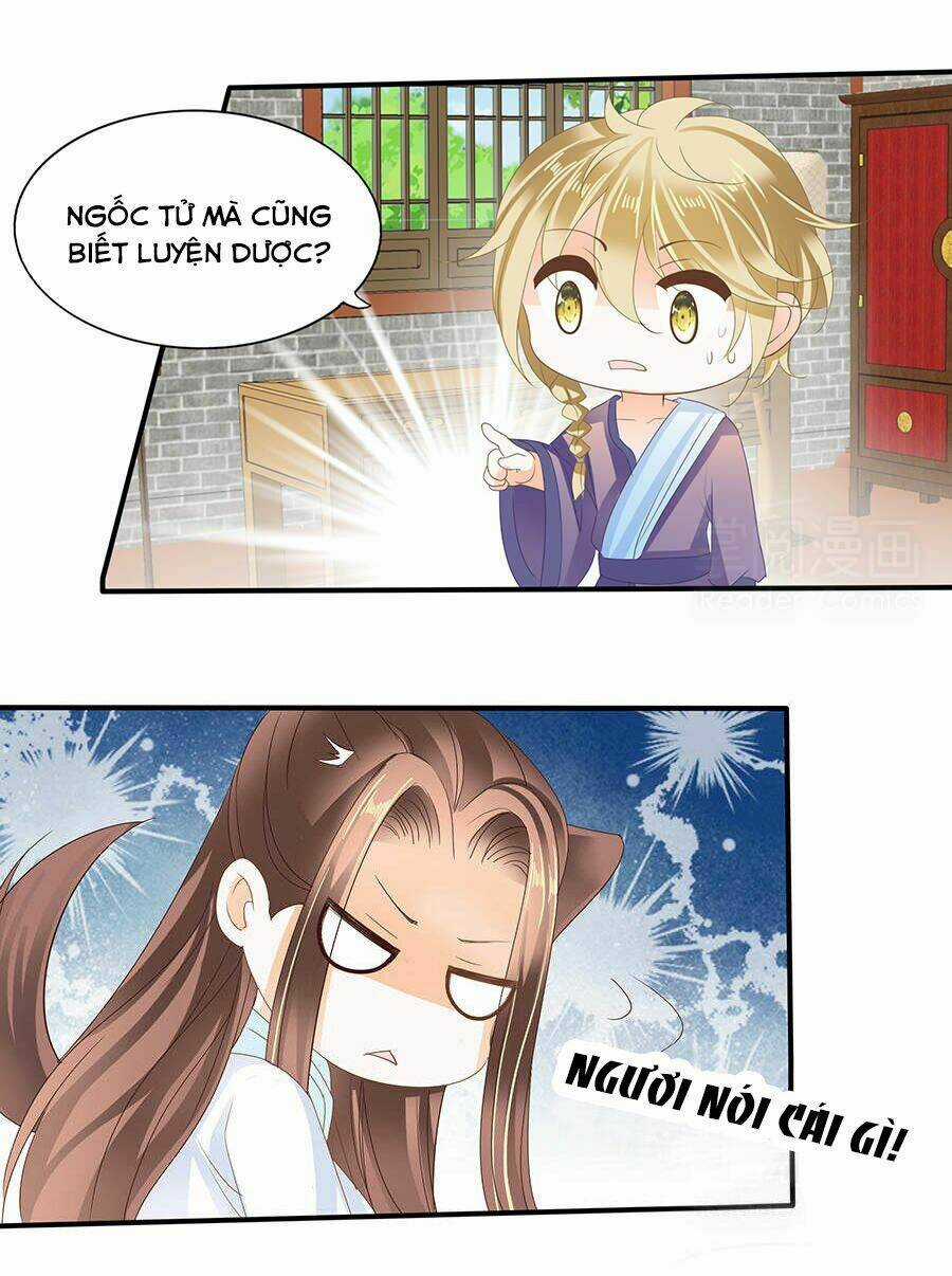 Vương Phi Lại Hạ Độc Rồi Chapter 13 trang 12