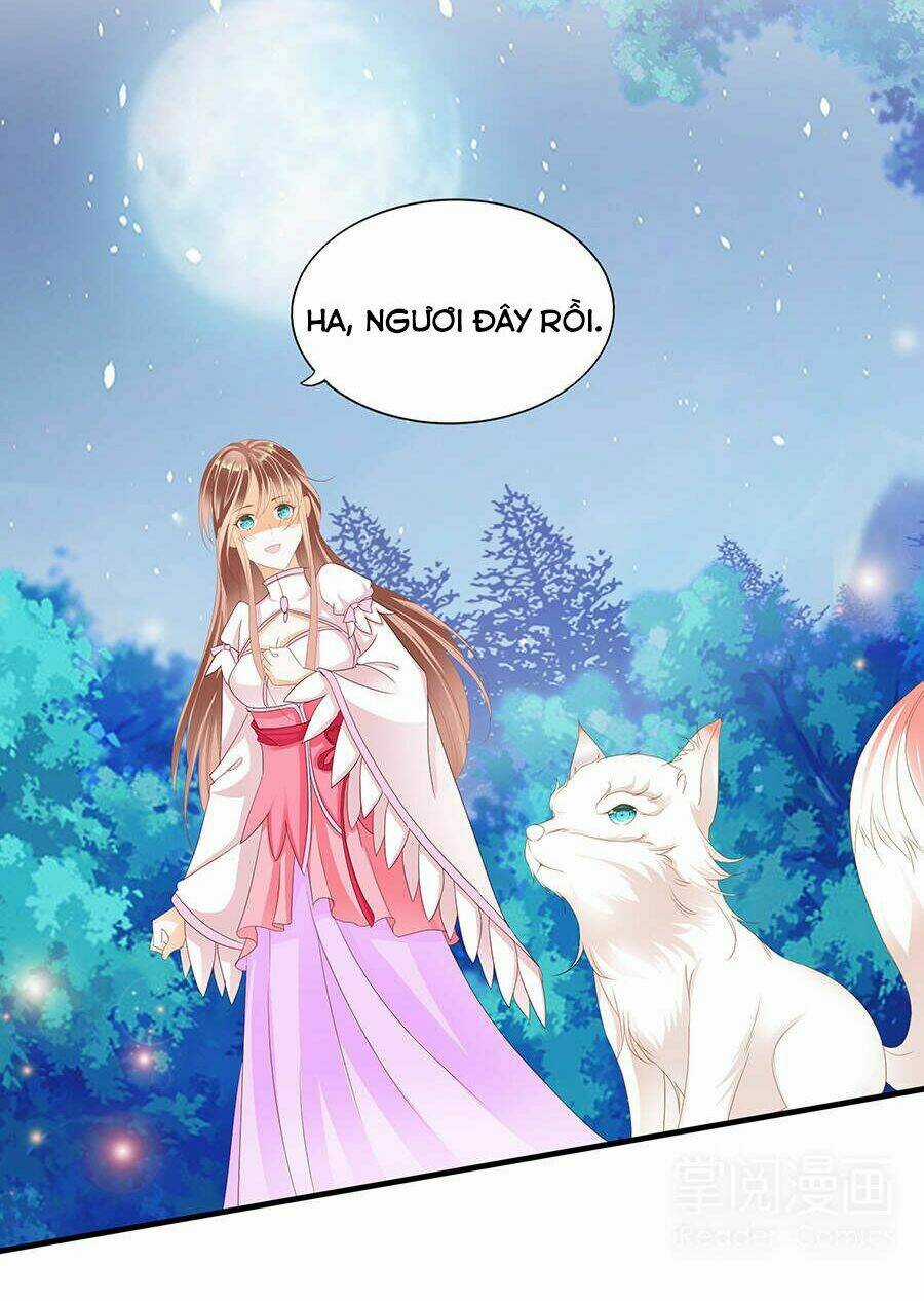 Vương Phi Lại Hạ Độc Rồi Chapter 7 trang 21