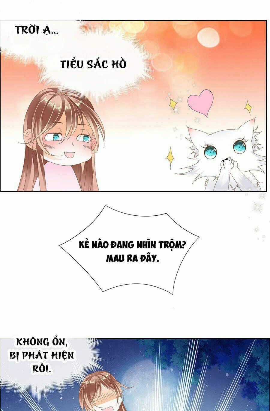 Vương Phi Lại Hạ Độc Rồi Chapter 7 trang 27