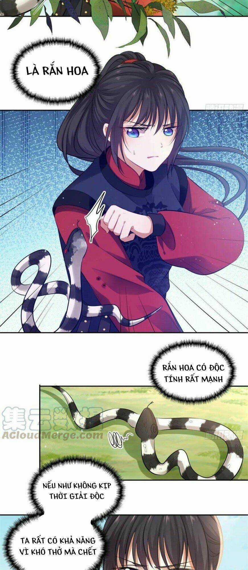 Vương Phi Thật Thích Trang Điểm Chapter 109 trang 6