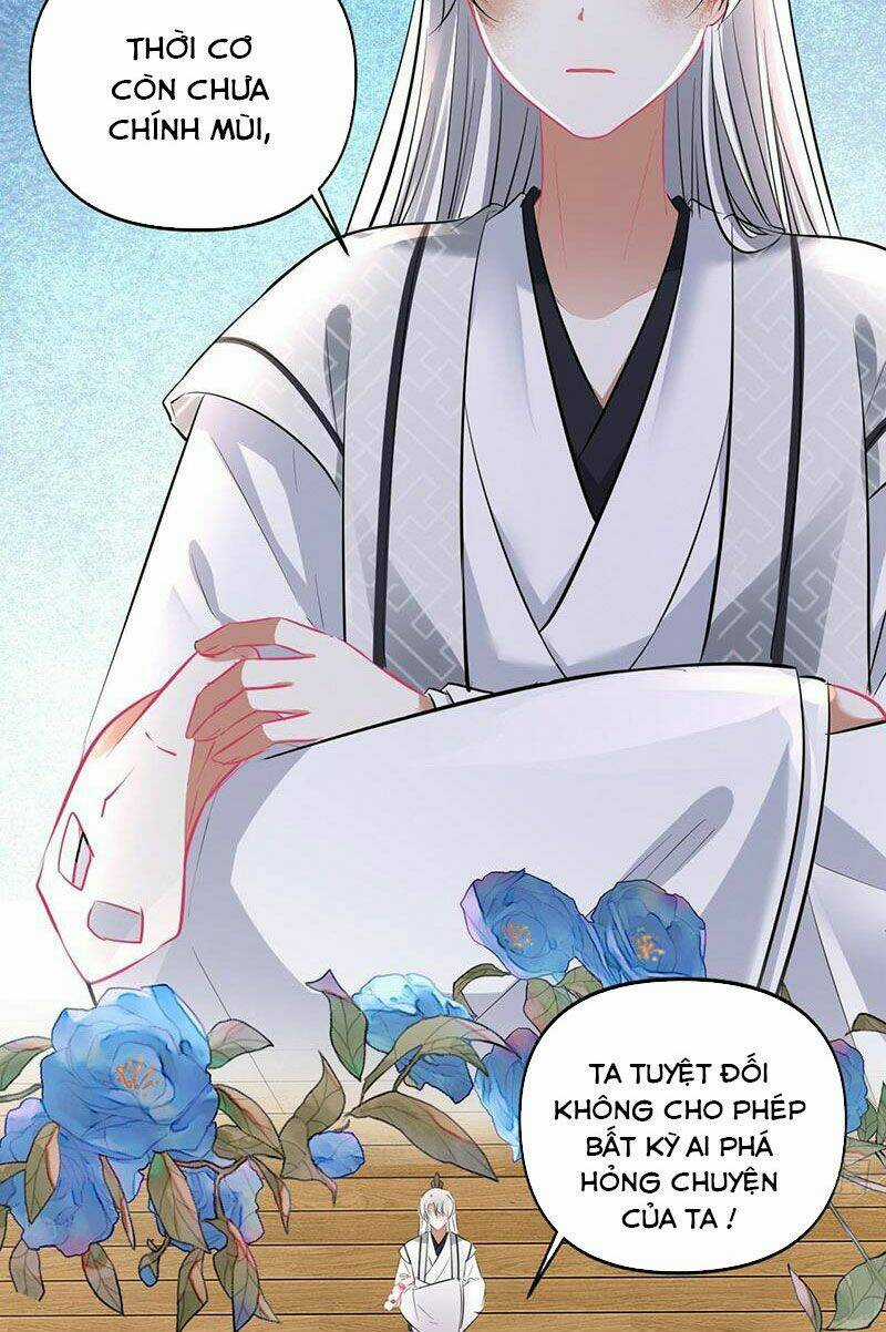 Vương Phi Thật Thích Trang Điểm Chapter 168 trang 33