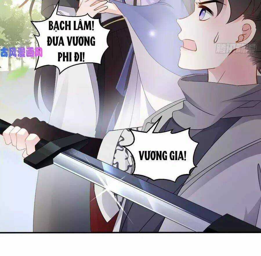 Vương Phi Thông Linh Chapter 12 trang 12