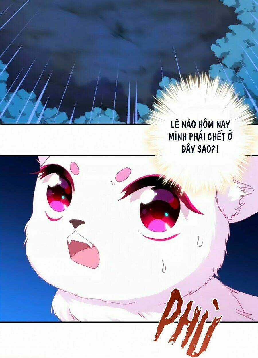 Vương Phi, Vương Gia Nhà Ngươi Không Ngốc Nữa Rồi Chapter 1 trang 7