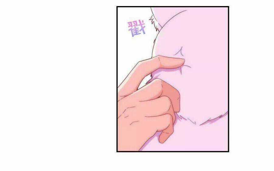 Vương Phi, Vương Gia Nhà Ngươi Không Ngốc Nữa Rồi Chapter 2 trang 13