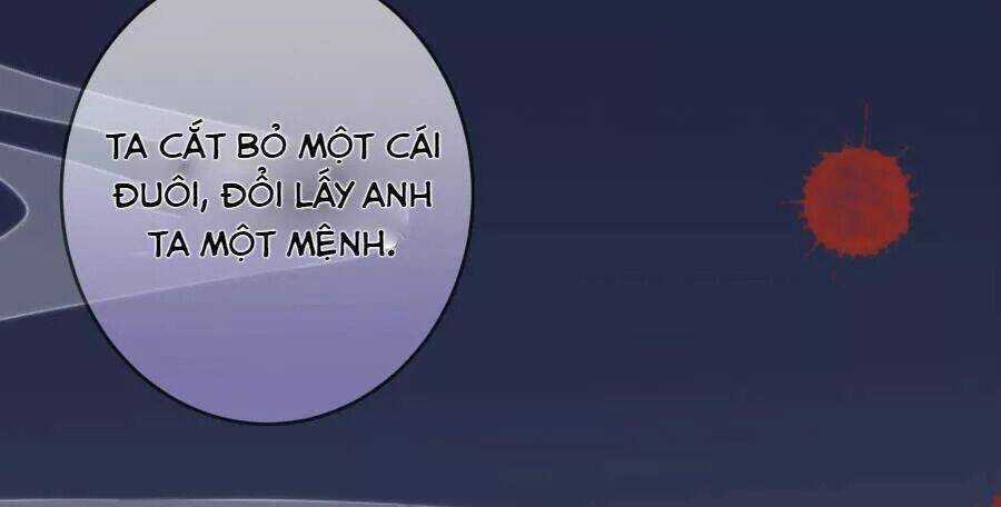 Vương Phi, Vương Gia Nhà Ngươi Không Ngốc Nữa Rồi Chapter 5 trang 18