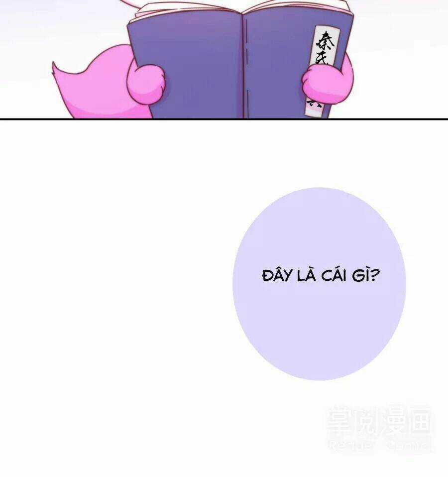 Vương Phi, Vương Gia Nhà Ngươi Không Ngốc Nữa Rồi Chapter 7 trang 11