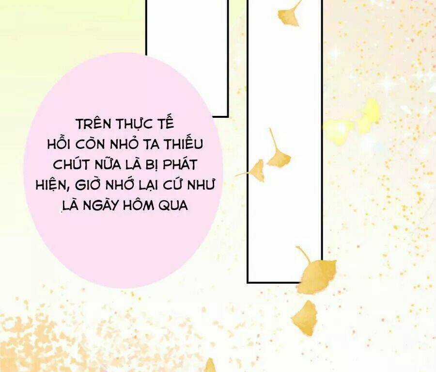 Vương Phi, Vương Gia Nhà Ngươi Không Ngốc Nữa Rồi Chapter 7 trang 30